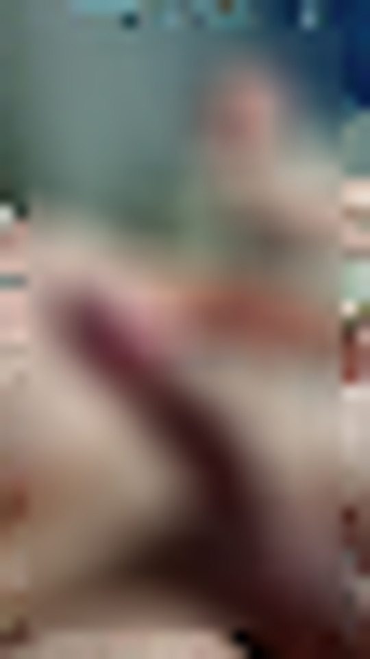 Foto de perfil de Gatooooo_sp em Mauá, SP