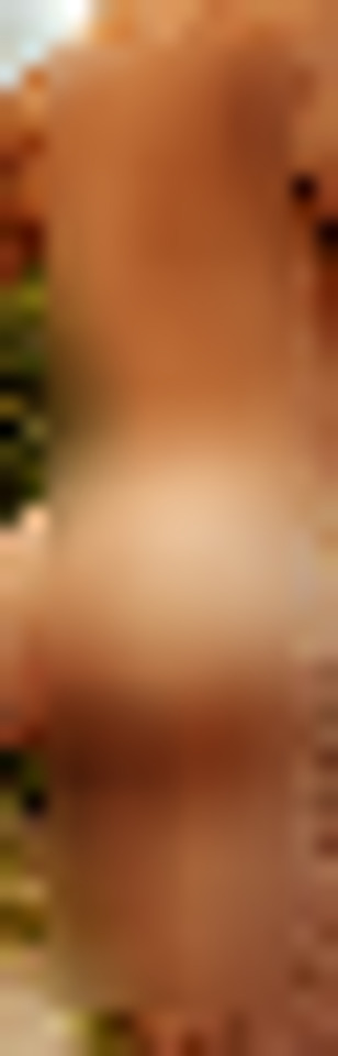 Foto de perfil de FERNANDO MÜLLER em Maringá, PR