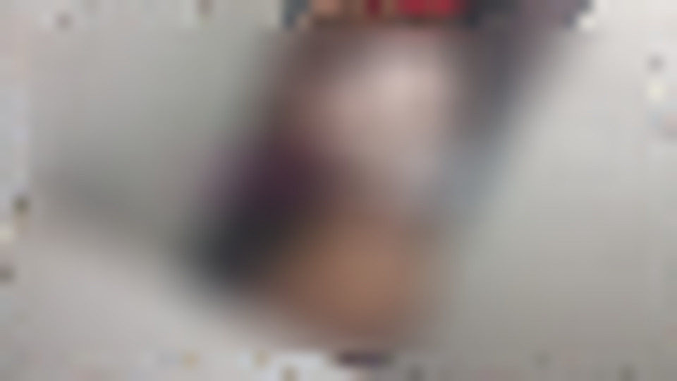 Foto de perfil de Pimenta em Forquilhinha, SC