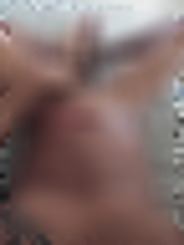 Foto de perfil de Salvador  em Salvador, BA
